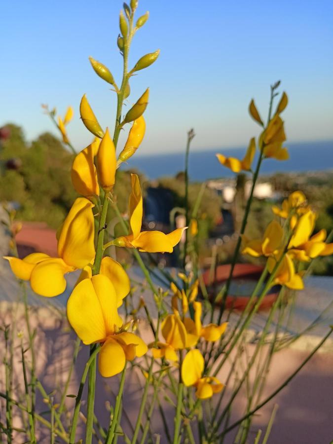 La Petite Maison Aci Castello Eksteriør bilde